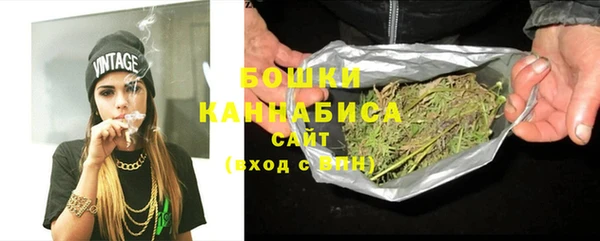 дурь Краснослободск