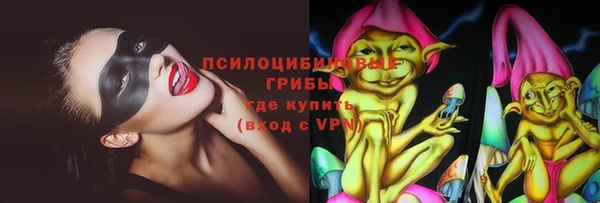 дурь Краснослободск